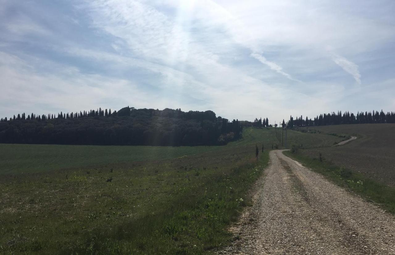 Cordella In Valdorcia Truffle And Olive Oil Resort Montalcino Luaran gambar