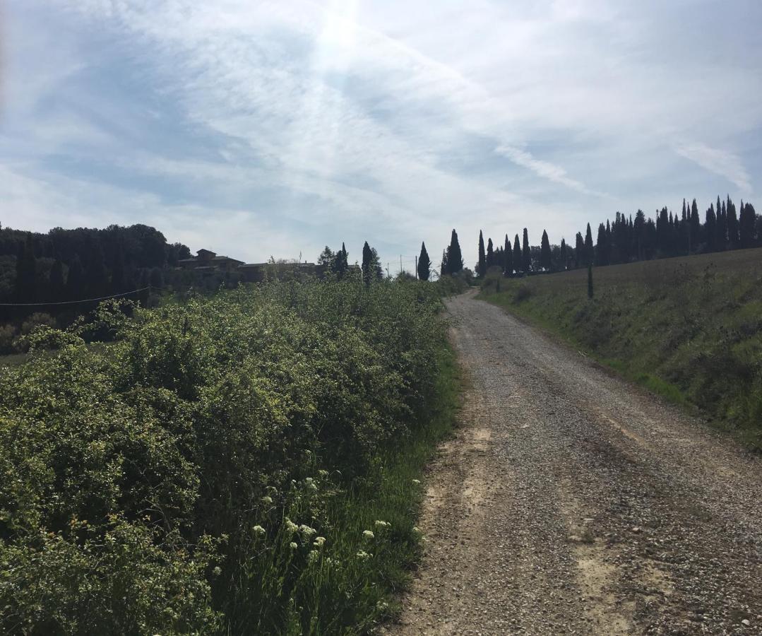 Cordella In Valdorcia Truffle And Olive Oil Resort Montalcino Luaran gambar