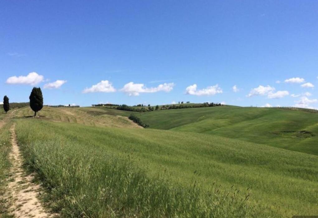 Cordella In Valdorcia Truffle And Olive Oil Resort Montalcino Luaran gambar