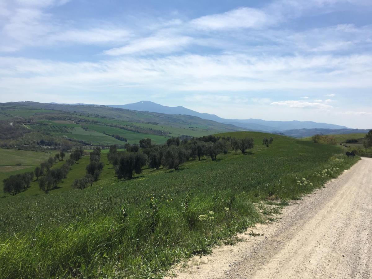 Cordella In Valdorcia Truffle And Olive Oil Resort Montalcino Luaran gambar
